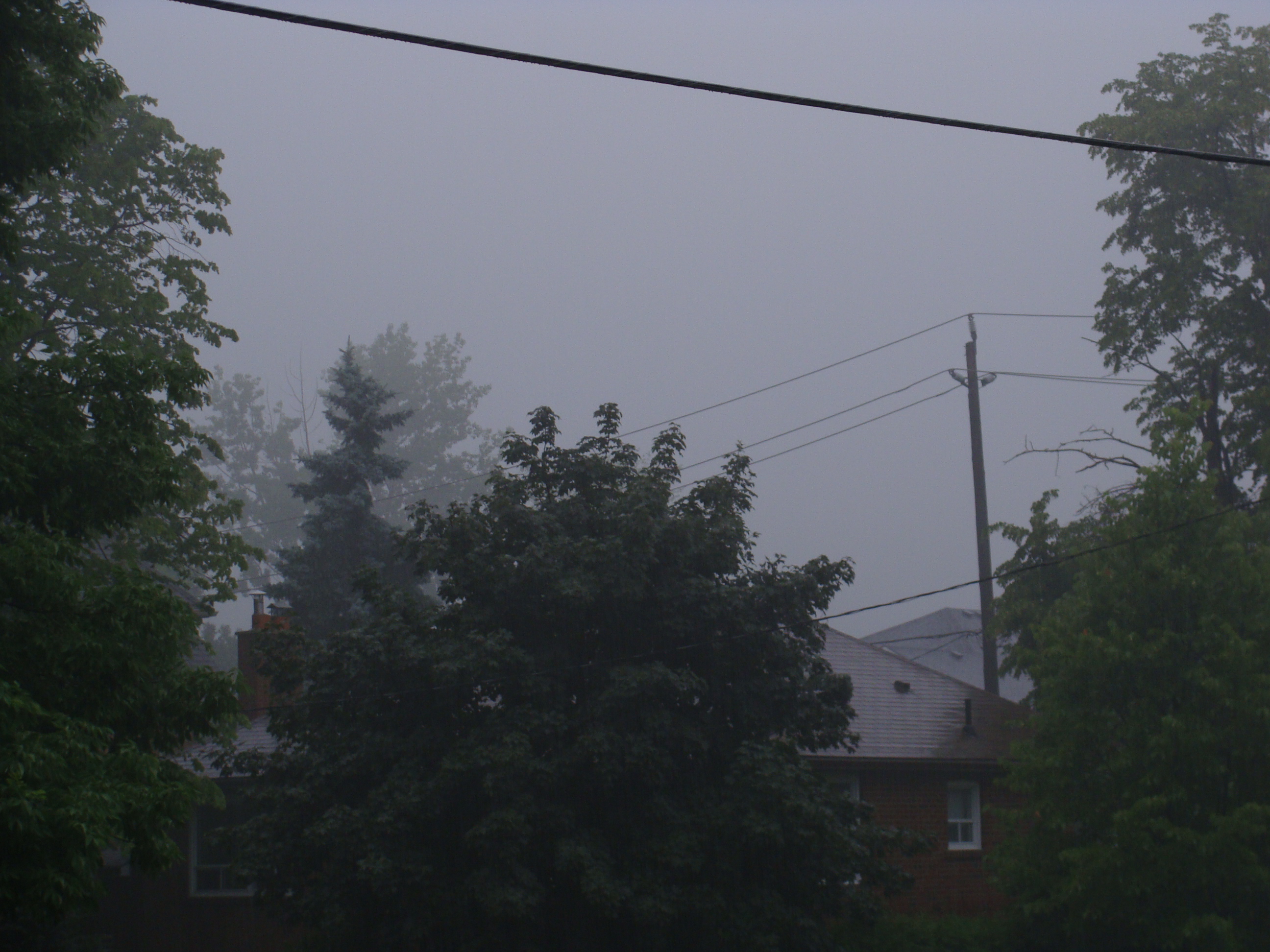 DSC01268.JPG